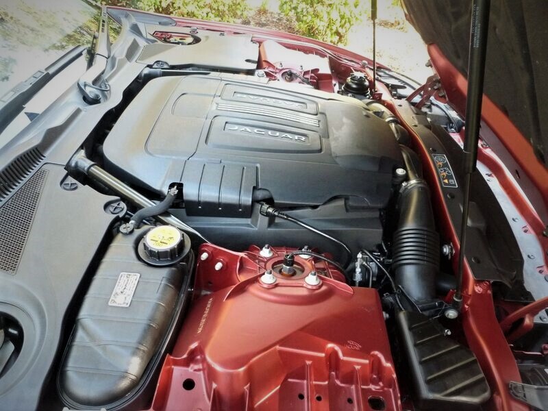 JAGUAR XK